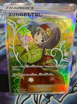 Erika's Hospitality SR