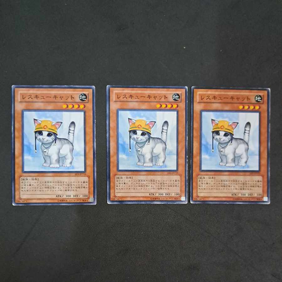 No.202 Yu-Gi-Oh Rescue Cat