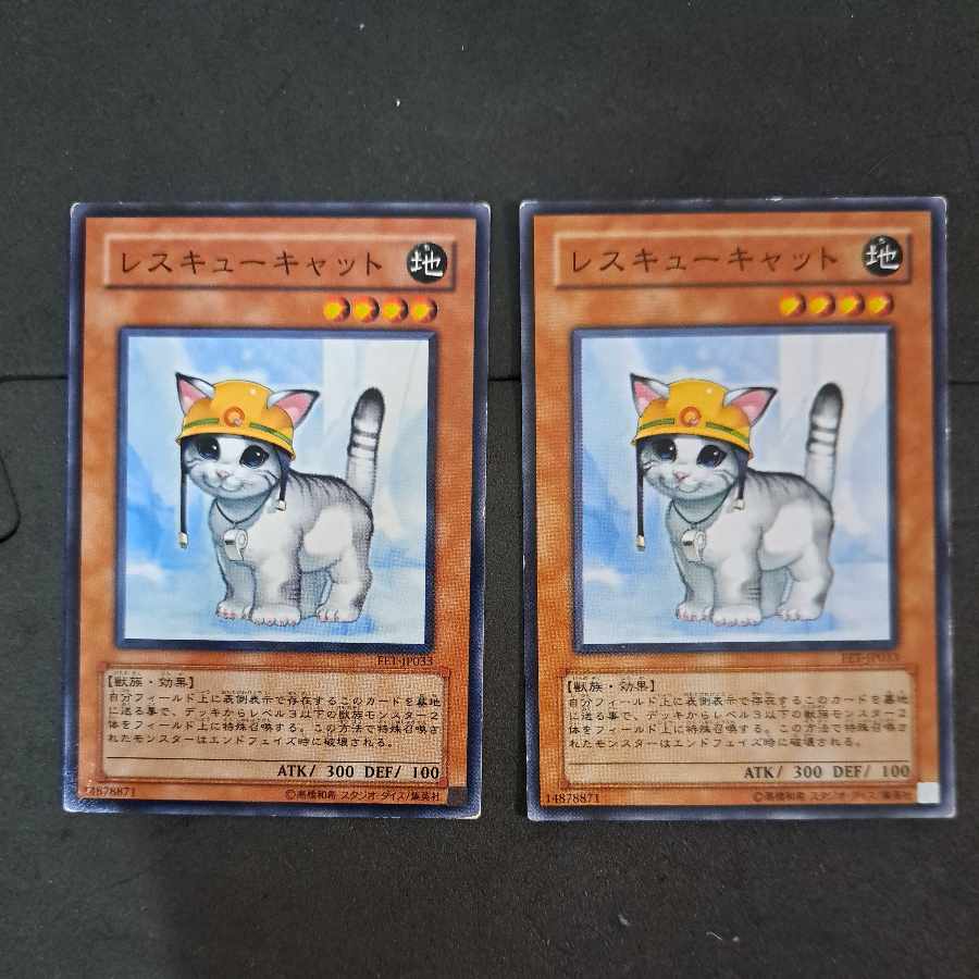 No.204 Yu-Gi-Oh Rescue Cat