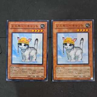 No.204 Yu-Gi-Oh Rescue Cat