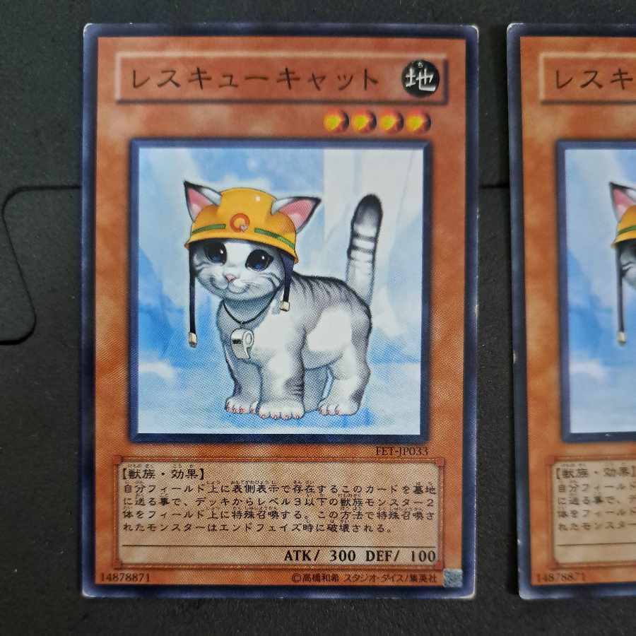 No.204 Yu-Gi-Oh Rescue Cat