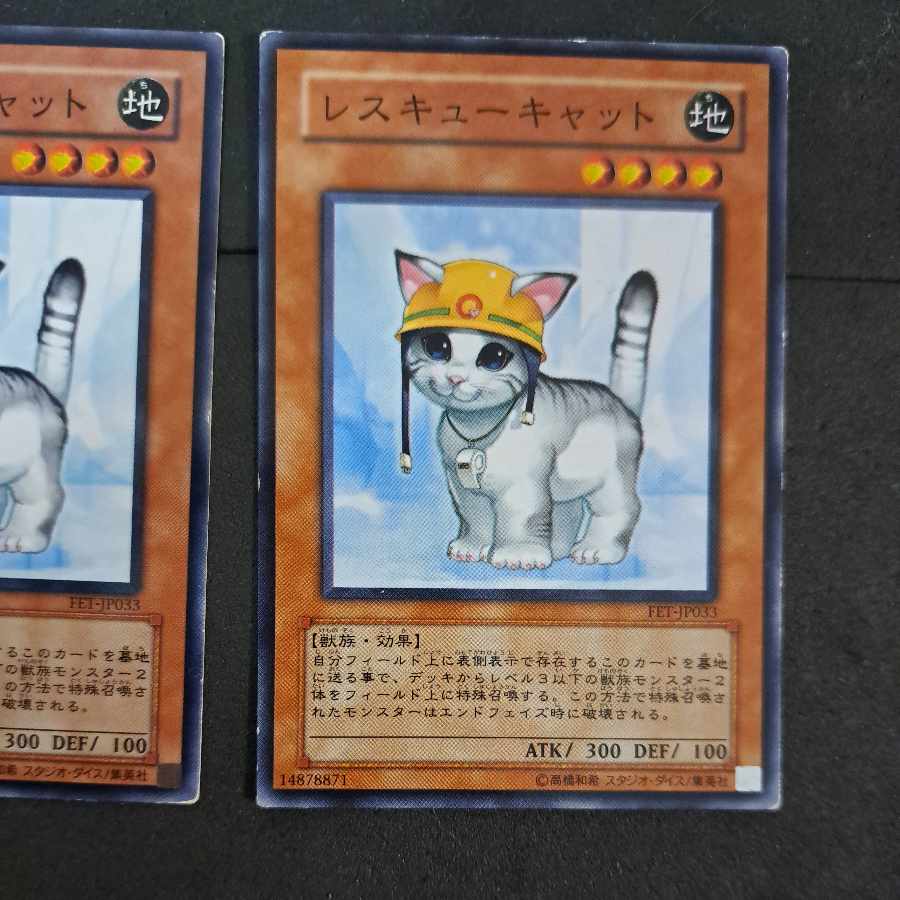 No.204 Yu-Gi-Oh Rescue Cat