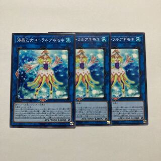 Marincess Coral Anemone Normal JP041