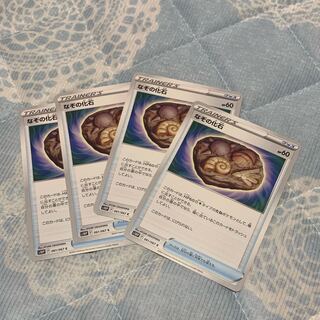 なぞの化石 C 061/067