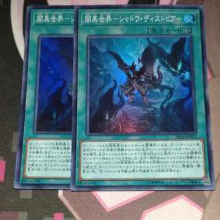 闇黒世界-シャドウ・ディストピア- スーパーレア JP022　2枚