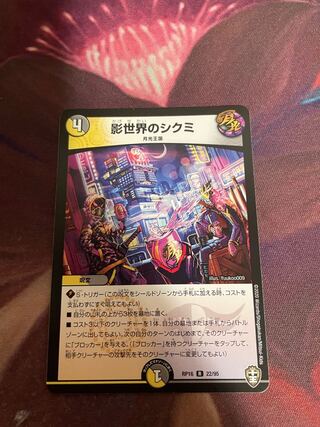 Shikumi in the shadow world R 22/95