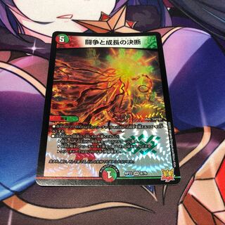 Fighting Conflict and Growth Decision VR 8/76 1 copy