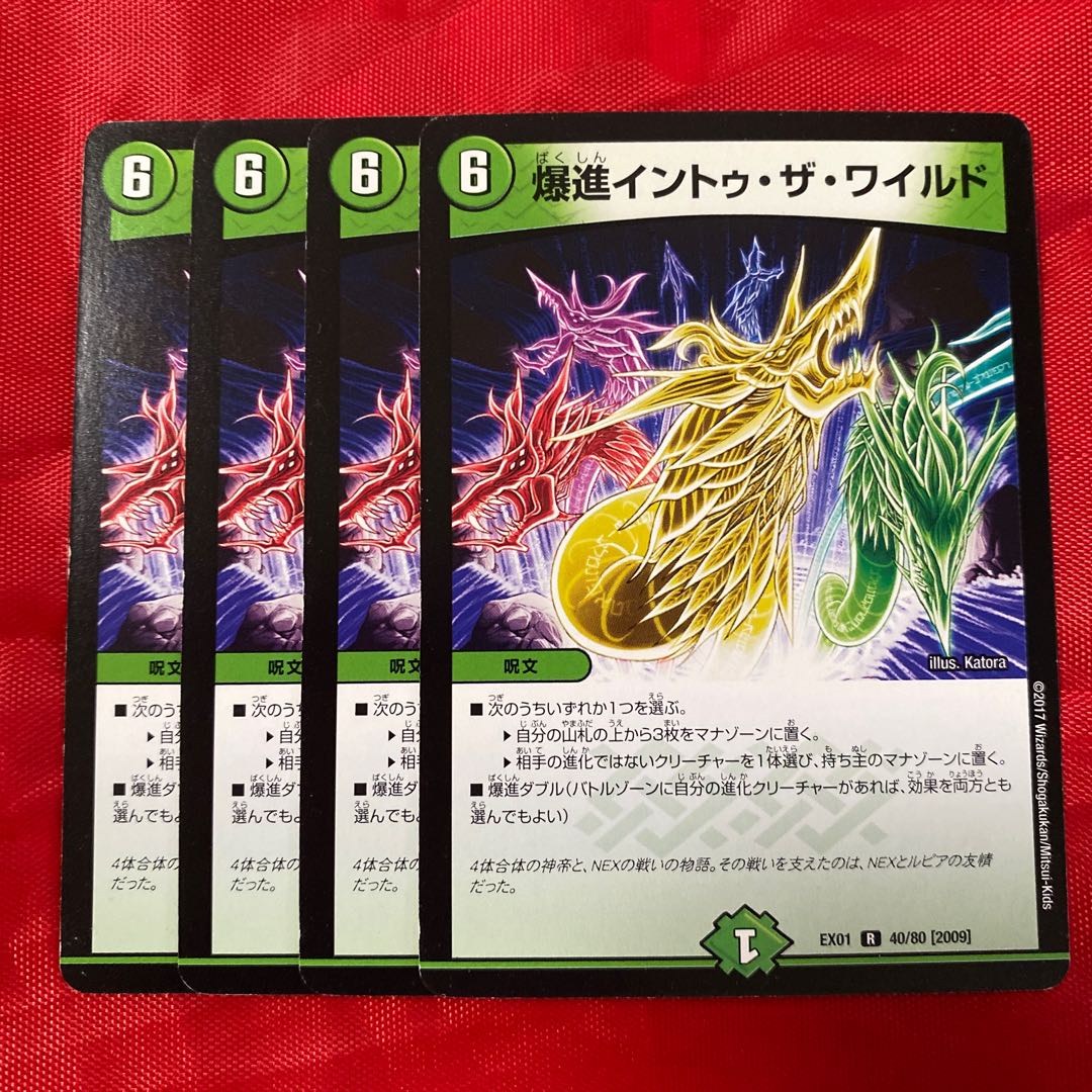 Bakushin Into the Wild R 40/80 [2009].