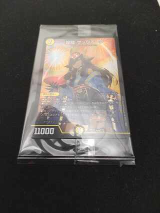 煌龍 サッヴァーク