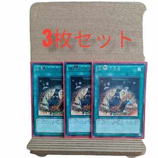 [anonymous shipping]Pre-Preparation of Rites rare JP065 set of 3