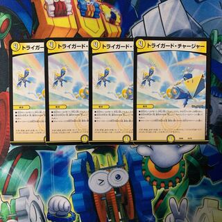 Triguard Charger 16/19