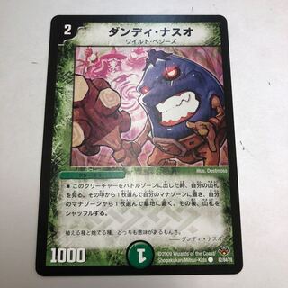 ダンディ・ナスオ C 82/84/Y8 1枚