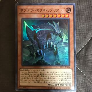 マドレース サブテラーマリス・リグリアード