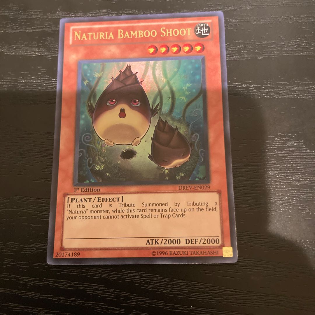 Natural bamboo chute DREV-029