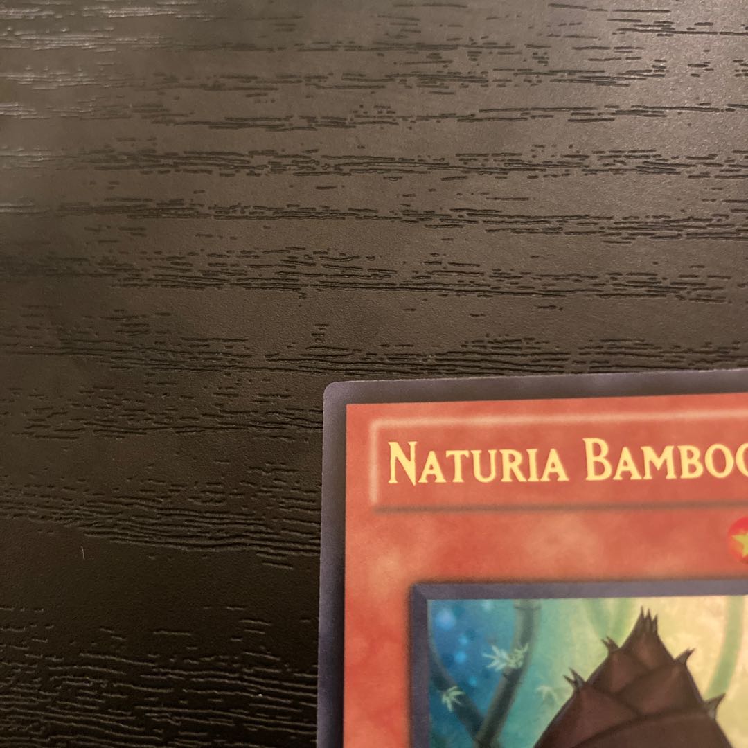 Natural bamboo chute DREV-029