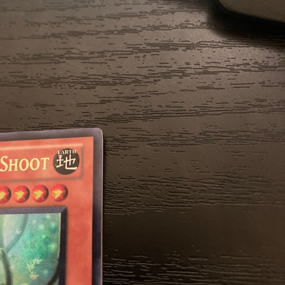 Natural bamboo chute DREV-029