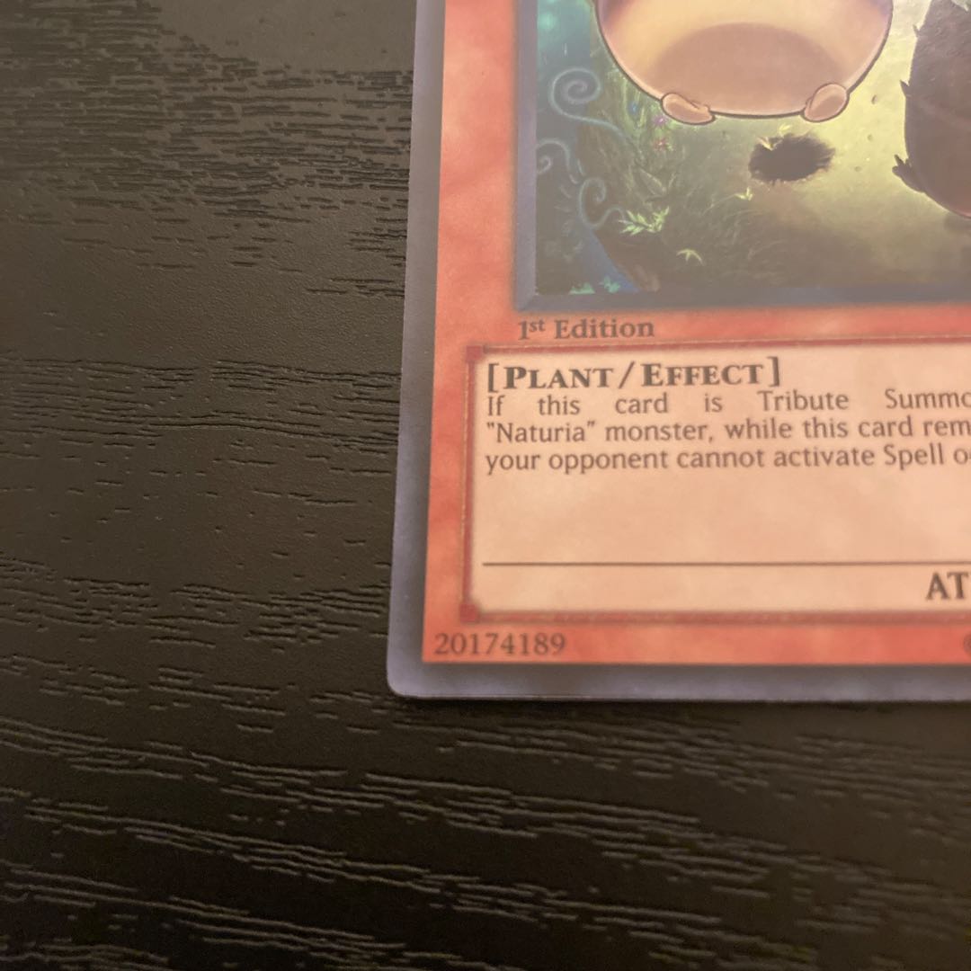 Natural bamboo chute DREV-029