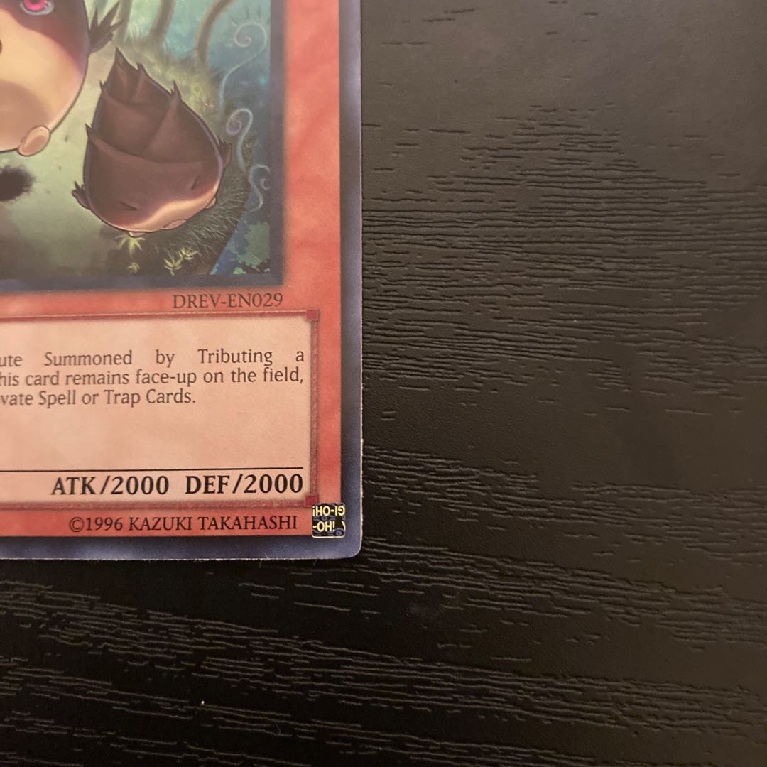 Natural bamboo chute DREV-029