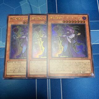 Sage of Time Flower - Fleur de Sage Ultra Rare JP020