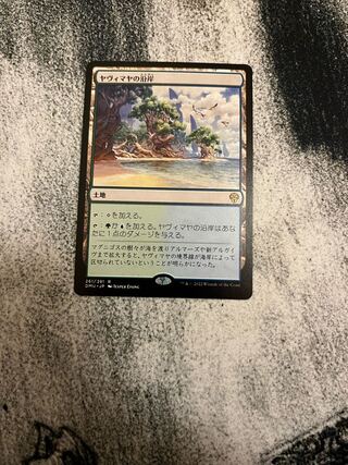 MTG 日本語　FOIL ヤヴィマヤの沿岸　APC MTG 日本語 FOIL ヤヴィマヤの沿岸 APC ヤヴィマヤの沿岸