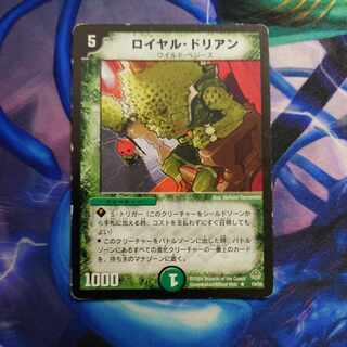 Royal Durian R 19/55