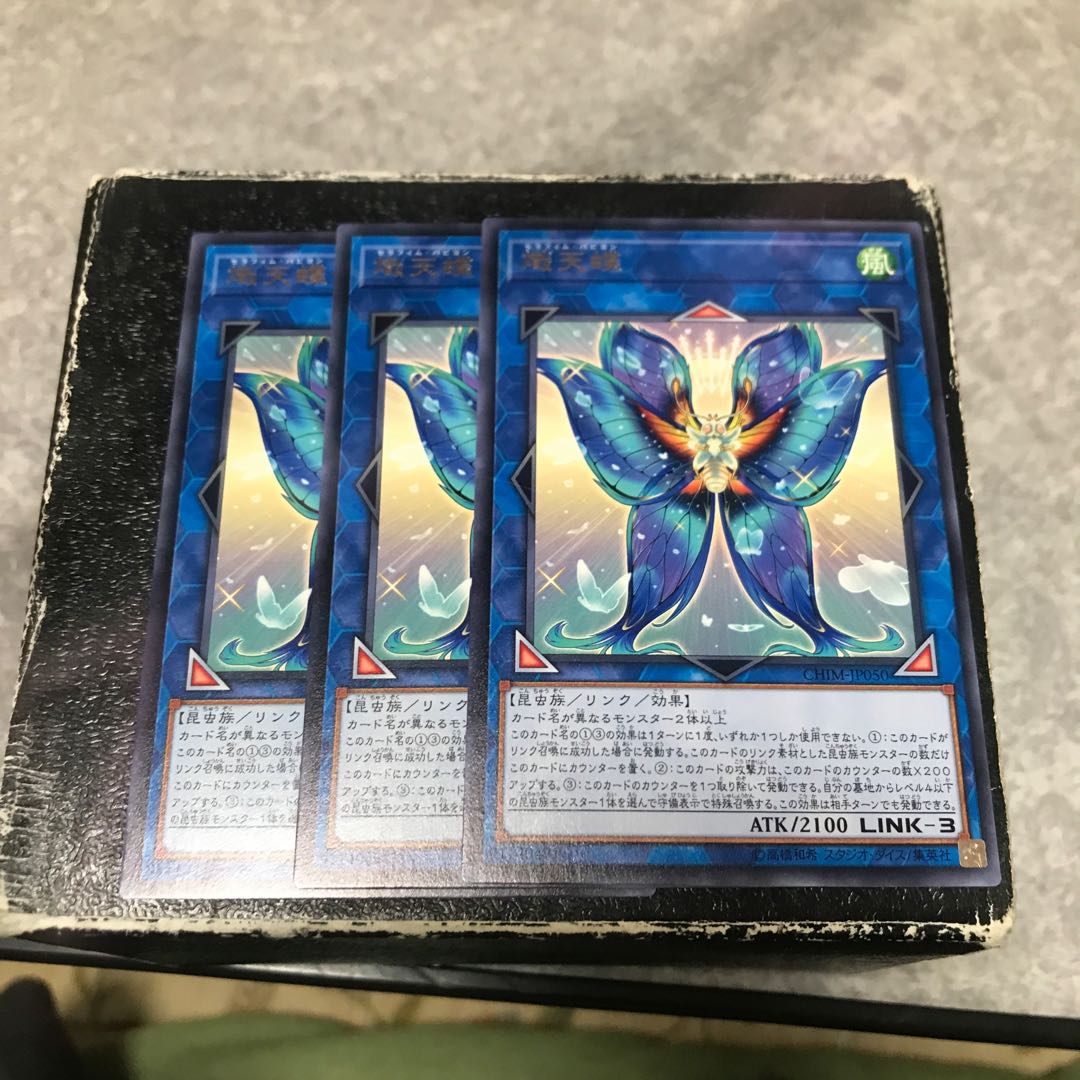 Seraphim Papillion 3 rare
