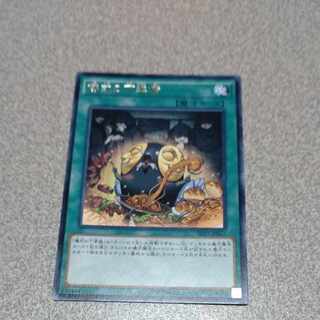 Pre-Preparation of Rites Rare JP065