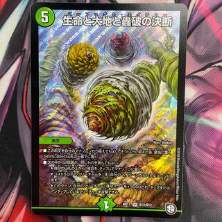 Life Life, Earth and Roaring Decision SR S12/S12