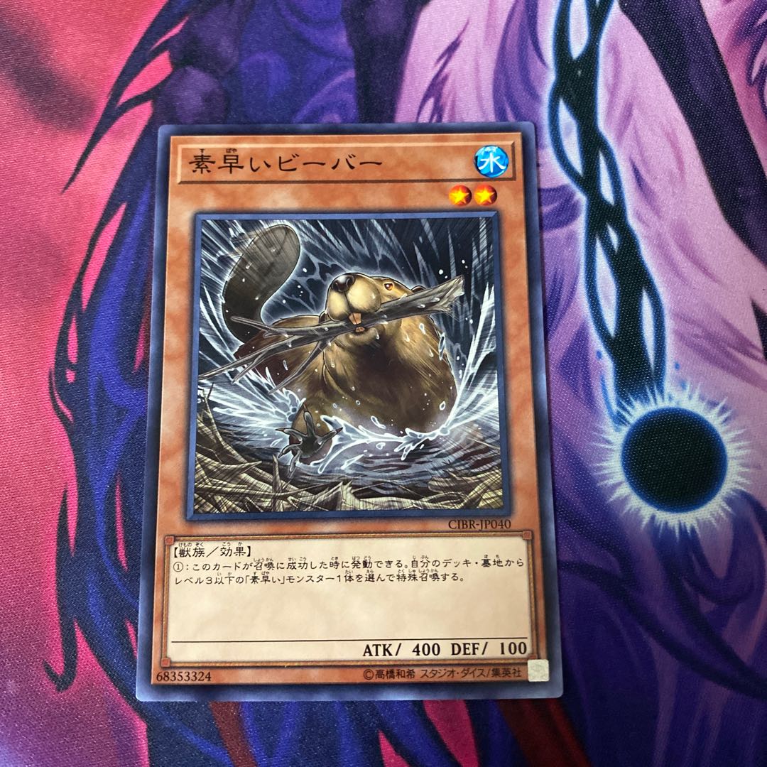 Nimble Beaver Normal rare JP040