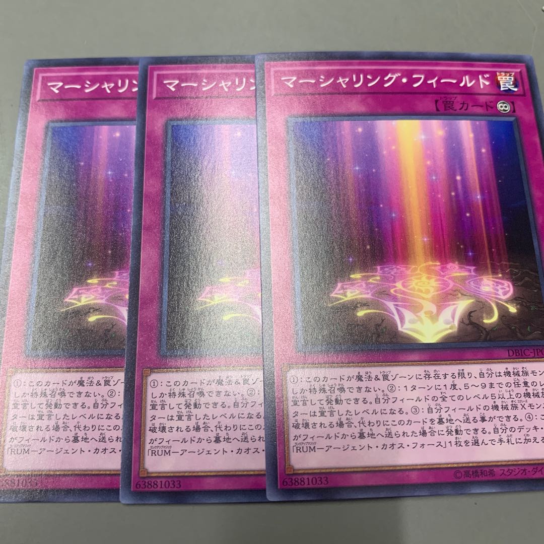 マーシャリング・フィールド 1枚