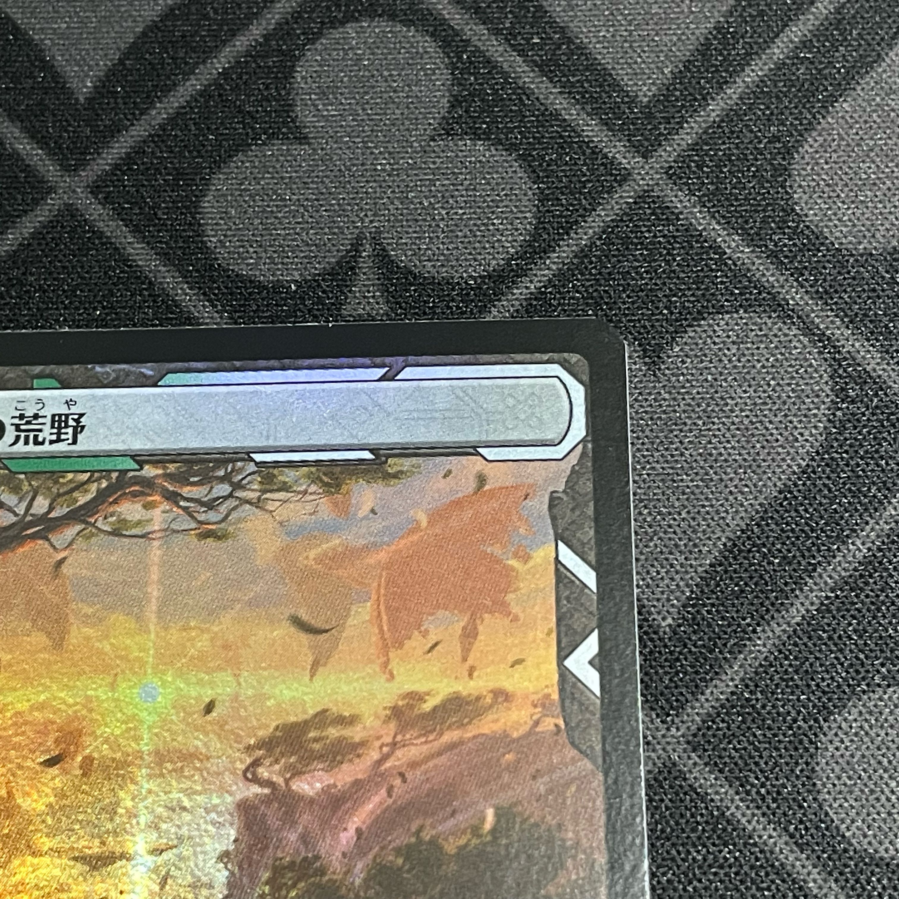 Windswept Heath Dawn of Zendikar Japanese Foil