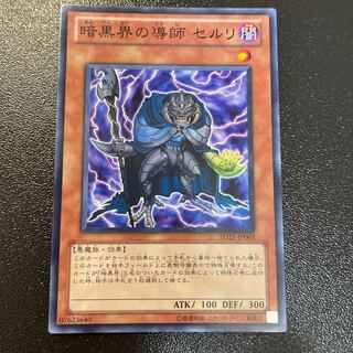 Ceruli, Guru of Dark World Super Rare JP003