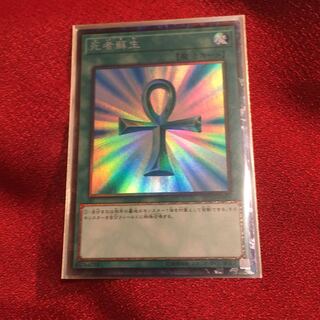 死者蘇生　コレクターズ