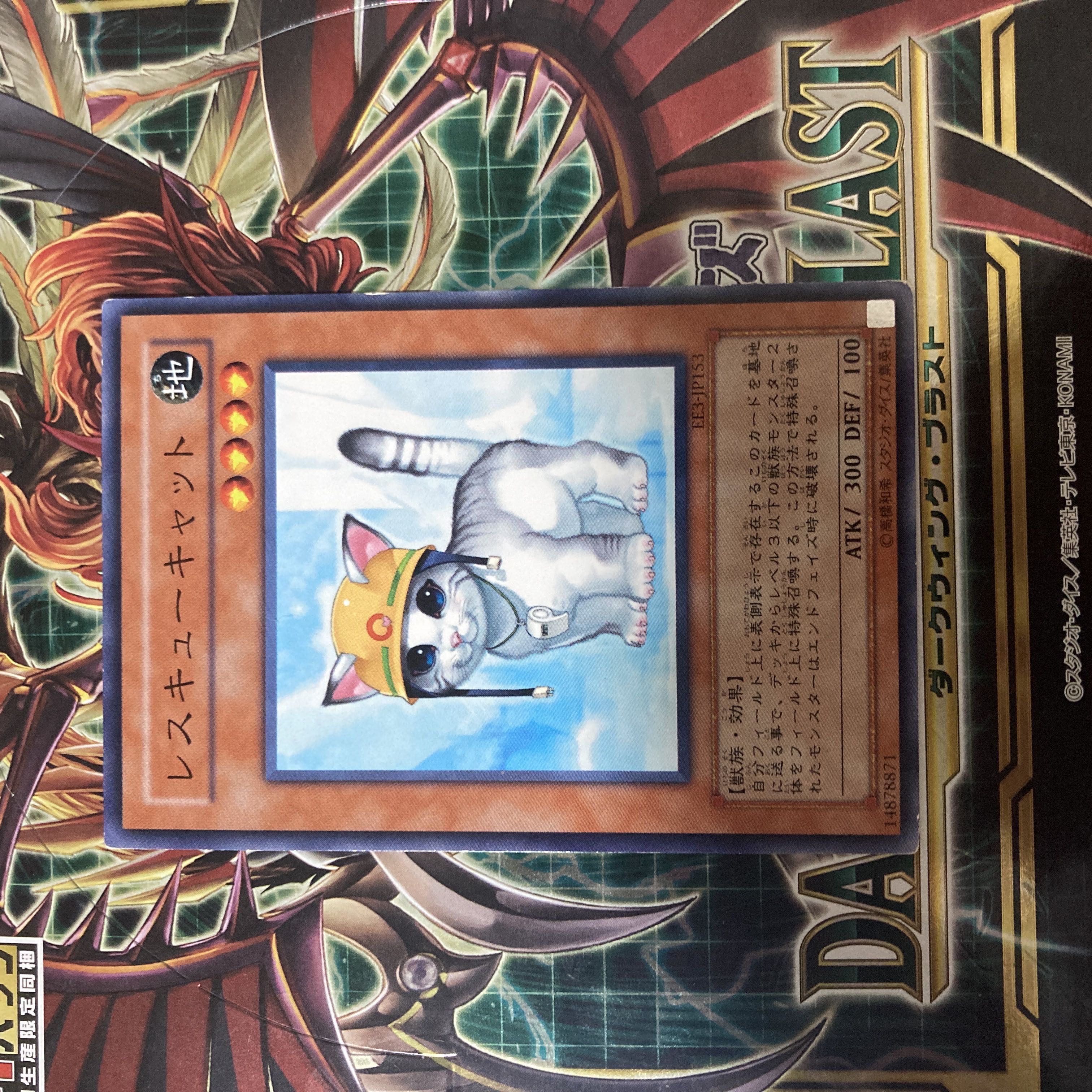 Rescue Cat Normal JP153