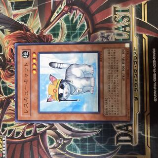 Rescue Cat Normal JP153