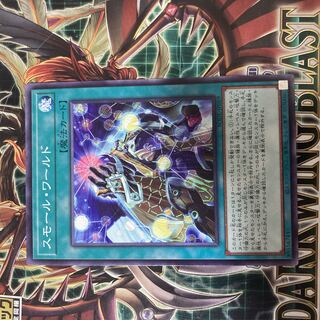Small World Normal rare JP069