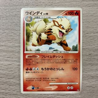 Goods] ArcanineDPBP#064