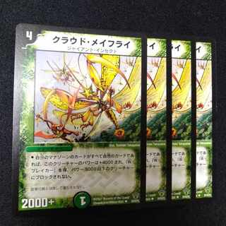 Cloud RosaFly U 53/90/Y6 2783