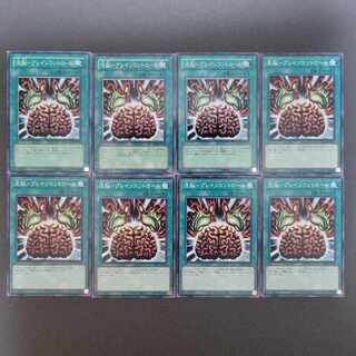 洗脳-ブレインコントロール ノーマル ×8枚セット