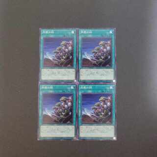 同胞の絆ノーマル4枚セット