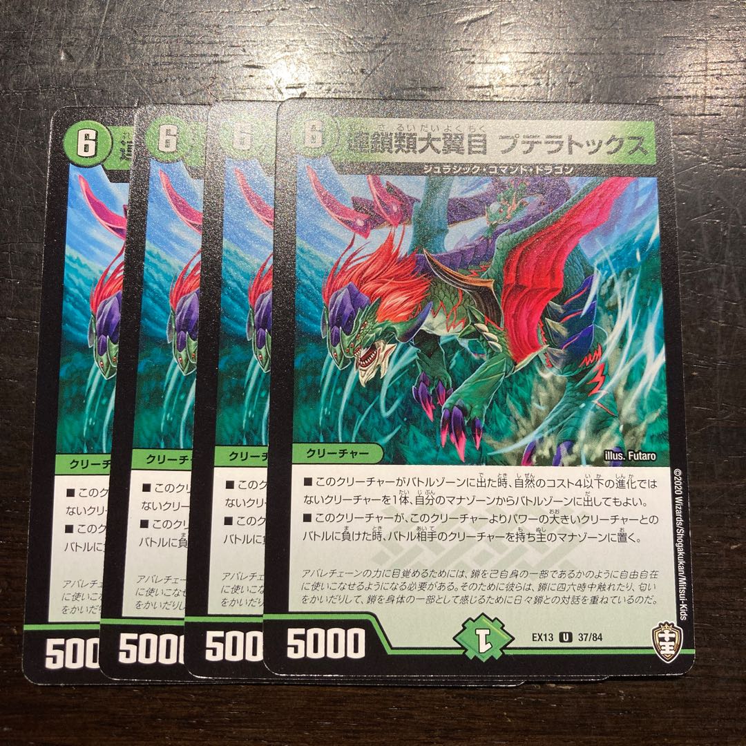 連鎖類大翼目 プテラトックス U 37/84