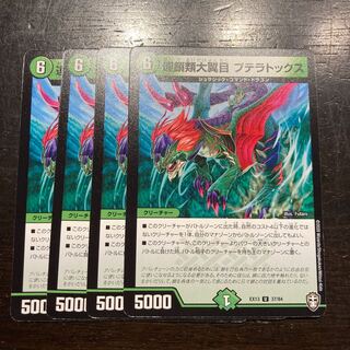 連鎖類大翼目 プテラトックス U 37/84