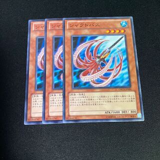 No.710 シャクトパス ノーマル JP006