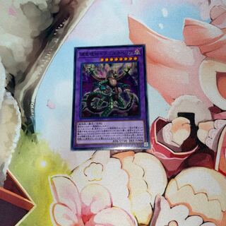 捕食植物ドラゴスタペリア ノーマル JP053