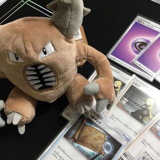 【宇都宮様専用】化石、シロナ、超エネセット