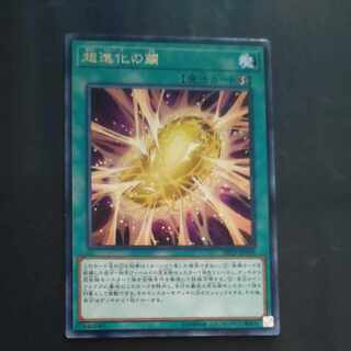 超進化の繭 レア JP009　【木林堂】 1枚