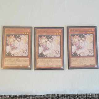Ash Blossom & Joyous Spring Super Rare JP016 Set of 3