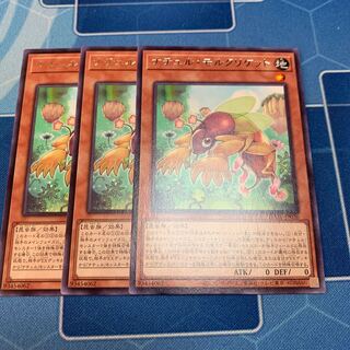 ナチュル・モルクリケット レア JP020