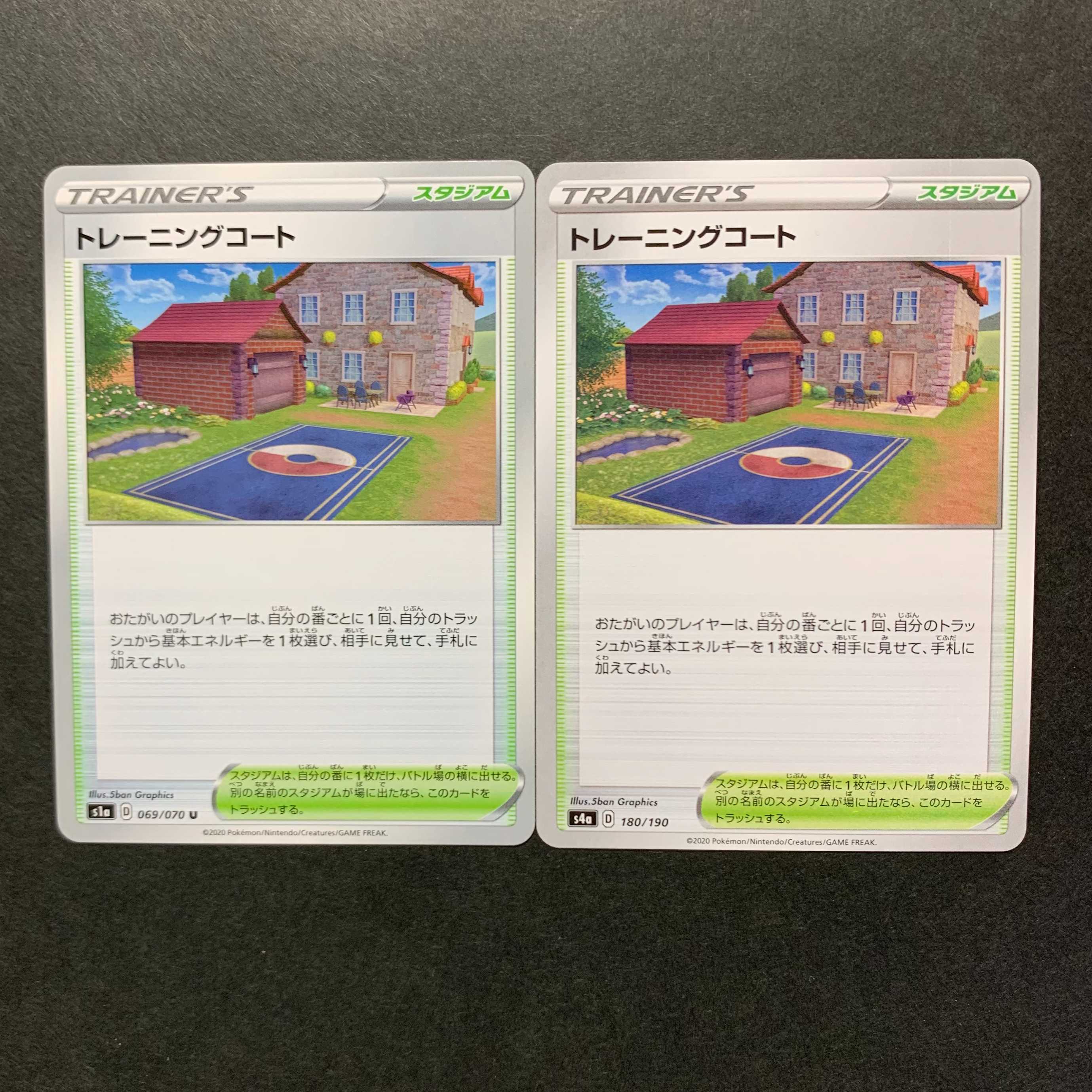 Training Court 180/190 Shiny Star V