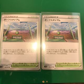 ターフスタジアム2枚